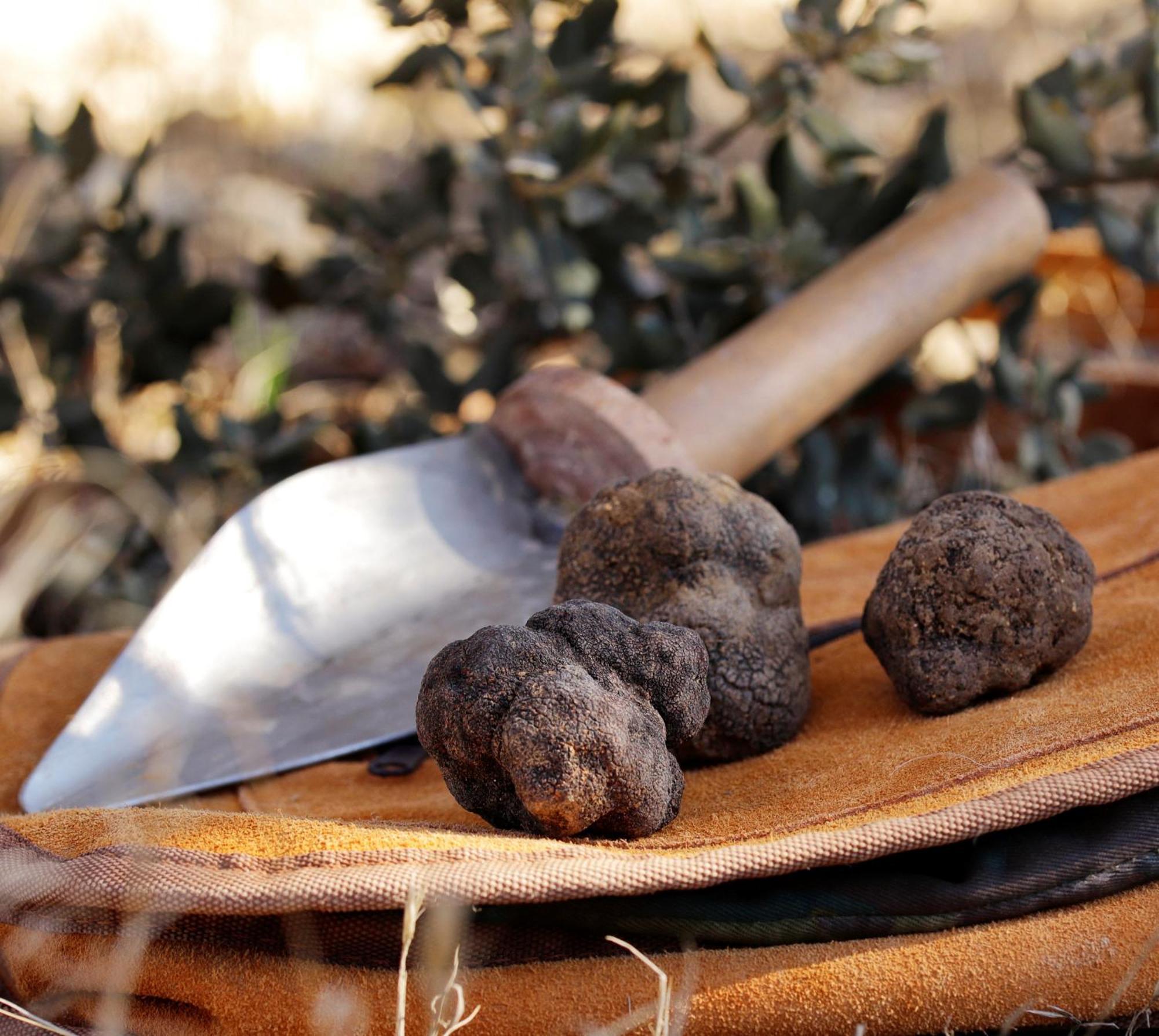 Ferienwohnung Aromas Del Jiloca, Tierra De Trufas Calamocha Exterior foto
